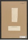 Diatomeae indet. Zeichnungen Sammlung Grunow Nr. 6071 (NHMW-BOT-W0374587)